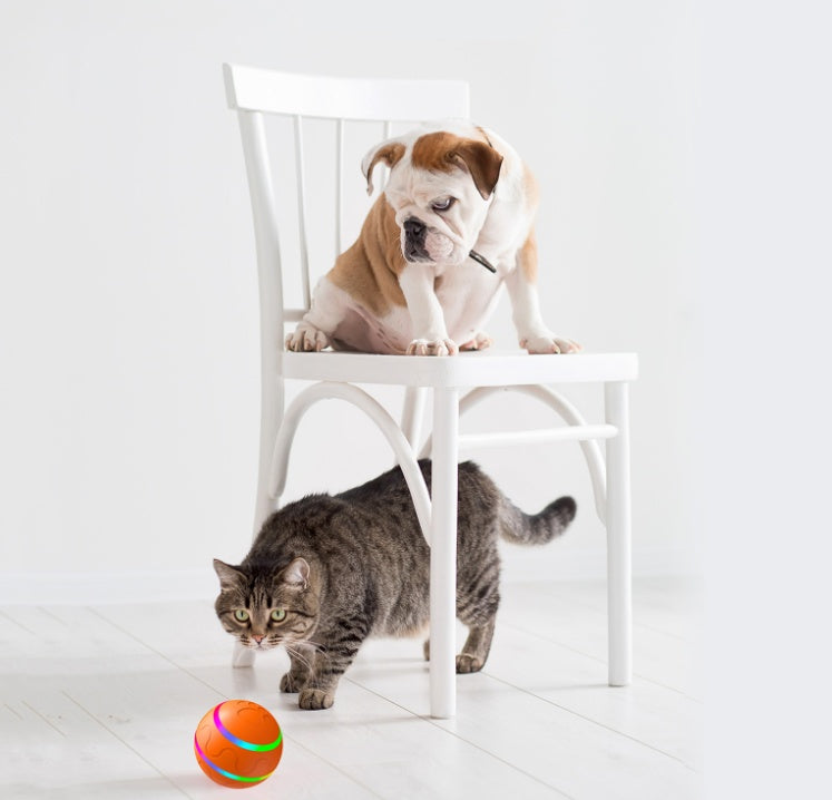 New Pet Self Rotating/Rechargeable Chew Toy